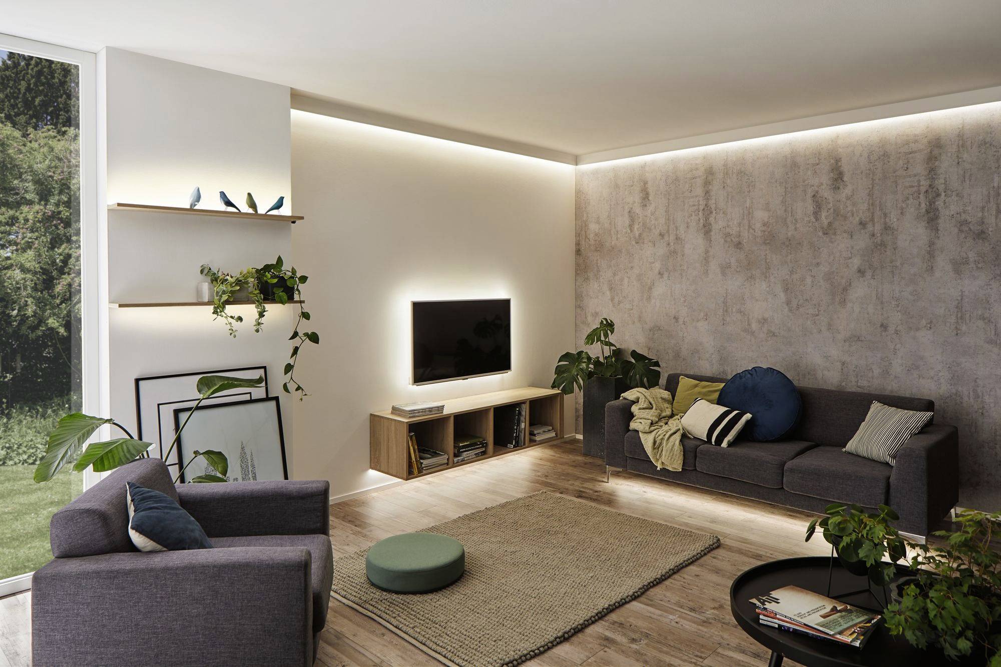 Cosy living room with a grey sofa, armchair, lighting behind a television and plants surrounding a rug.