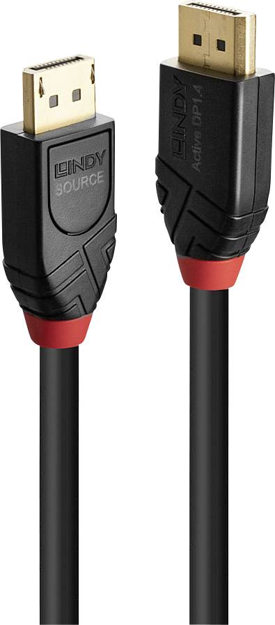 Two DisplayPort cables, each with a gold-coloured connector and black cable. The connectors are marked with 'LINDY SOURCE'.
