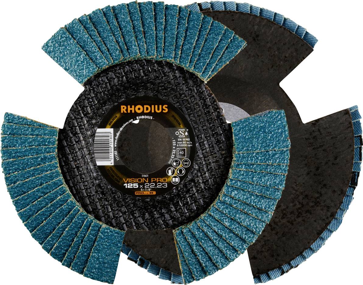 Two grinding discs with the inscription 'RHODIUS Vision Pro', each with blue lamellae and a dark centre, shown overlapping.