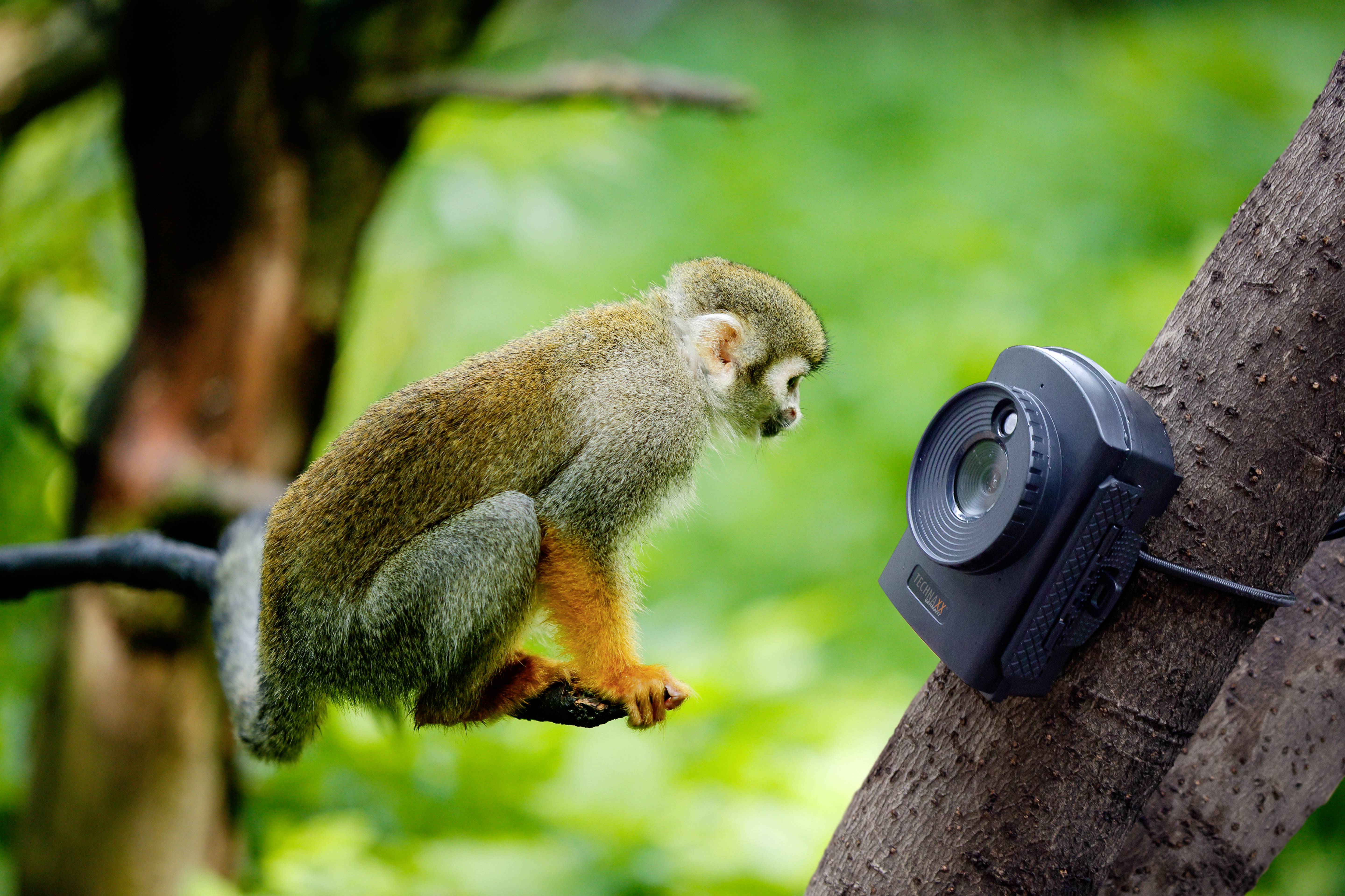 Technaxx TX-164 Time-lapse camera