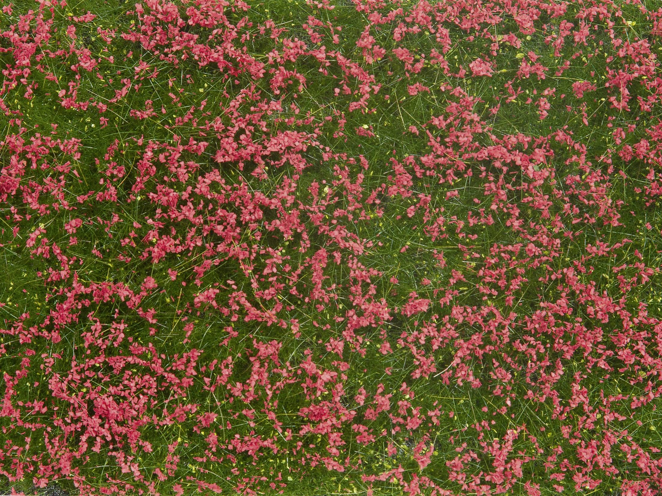 Red flower petals scattered on green grass, creating a vibrant pattern of contrasting colours.