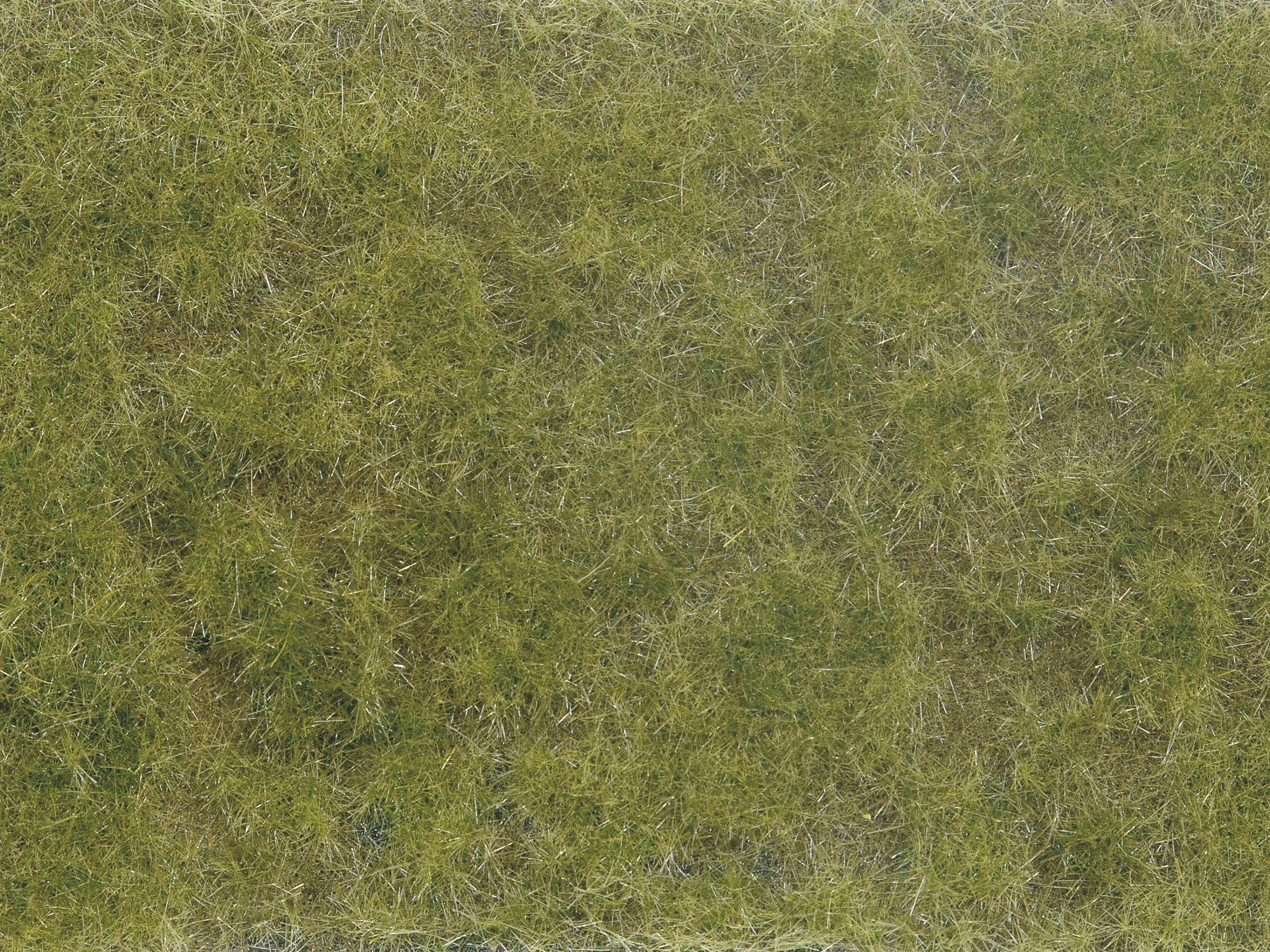 A densely overgrown lawn with brown and green grass patches. No other elements visible.