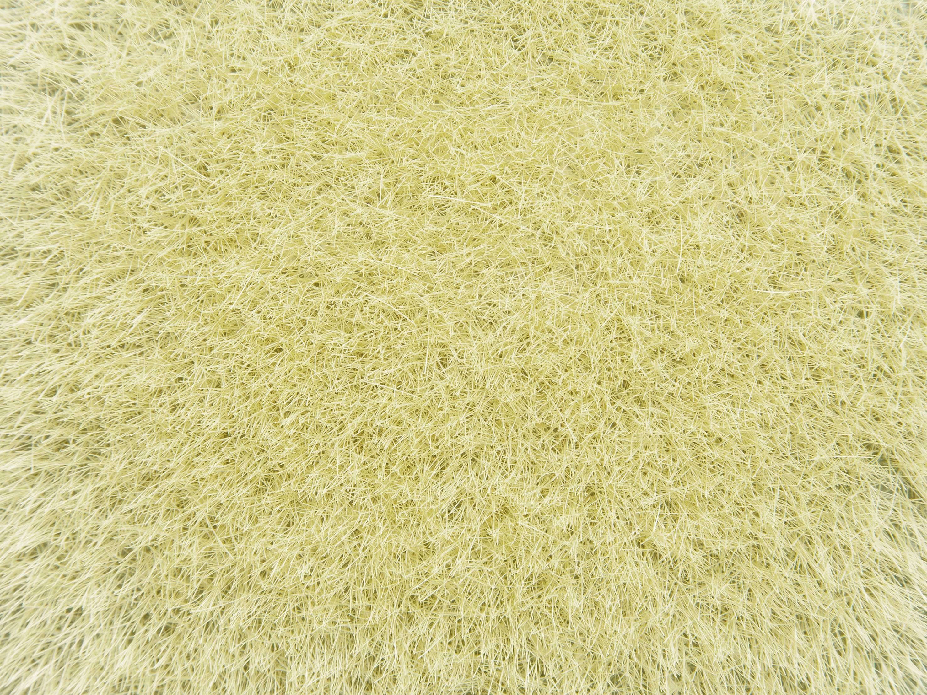 Close-up of yellowy mould growing on a surface. The fine, velvety texture indicates a dense colony.