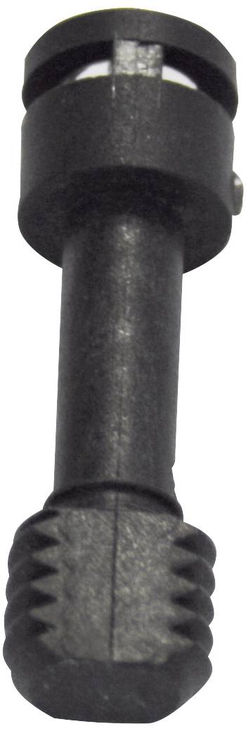 Spelsberg TK DS-ku/sw/T40 Cover screw 1 pc(s)