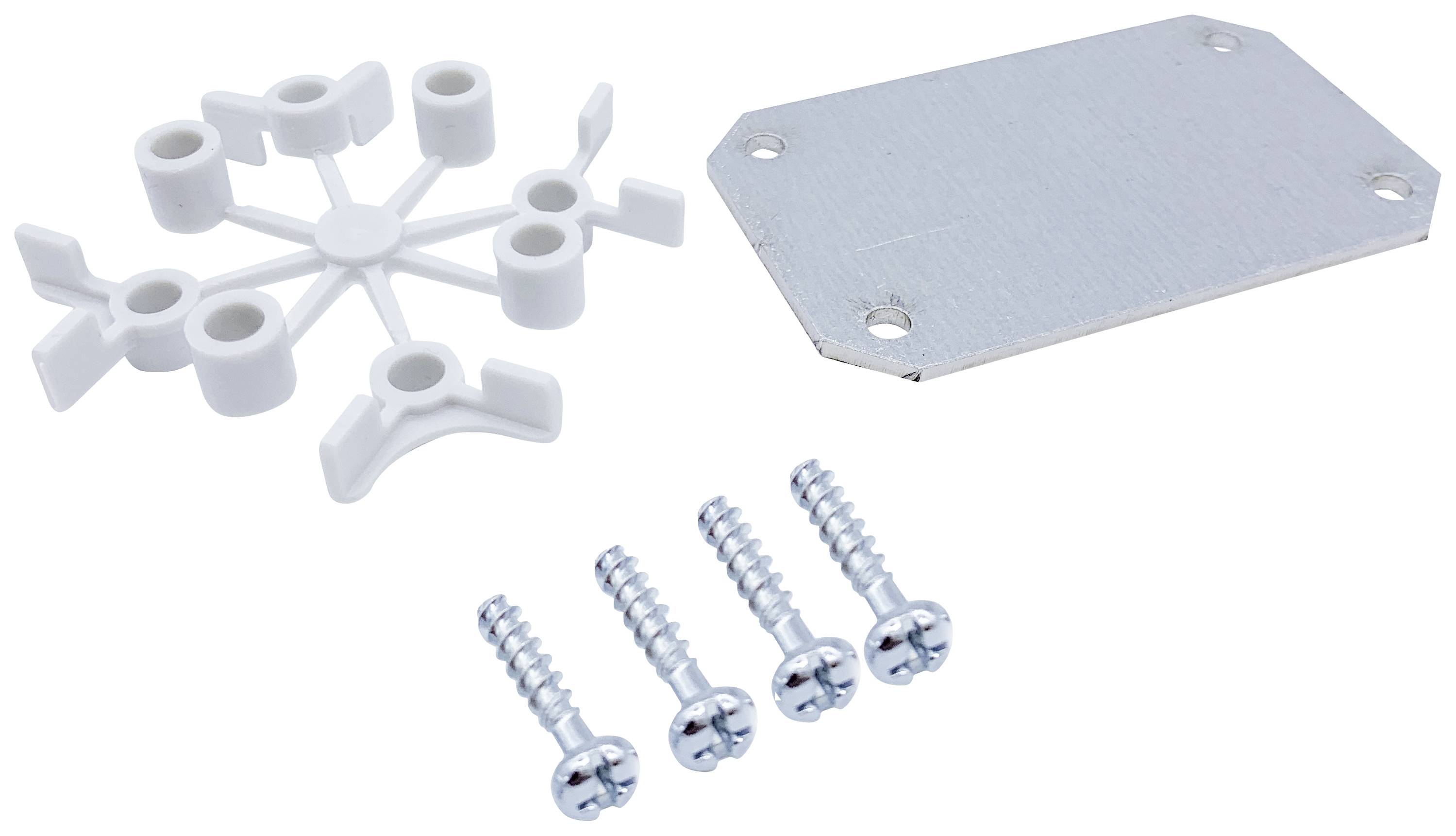 White plastic mounting bracket, metal plate and four silver screws for installation.