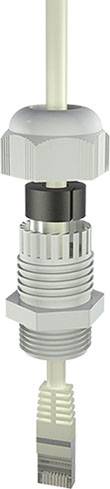 Bopla 12002414 Cable gland M25 Polyamide 6 Grey-white (RAL 7035) 1 pc(s)