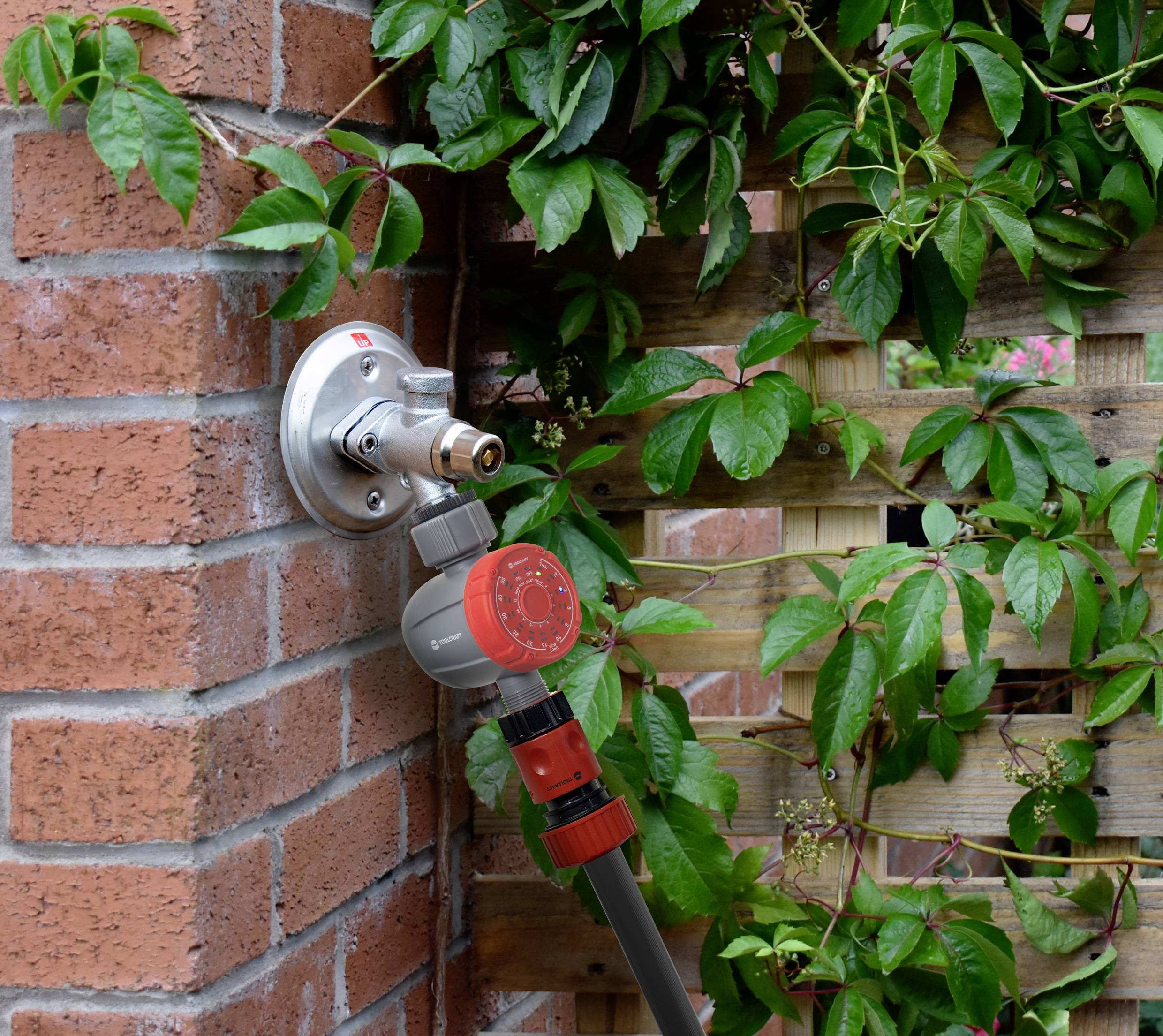 A tap on a brick wall, connected to a garden hose. Climbing plants are growing beside the wall.