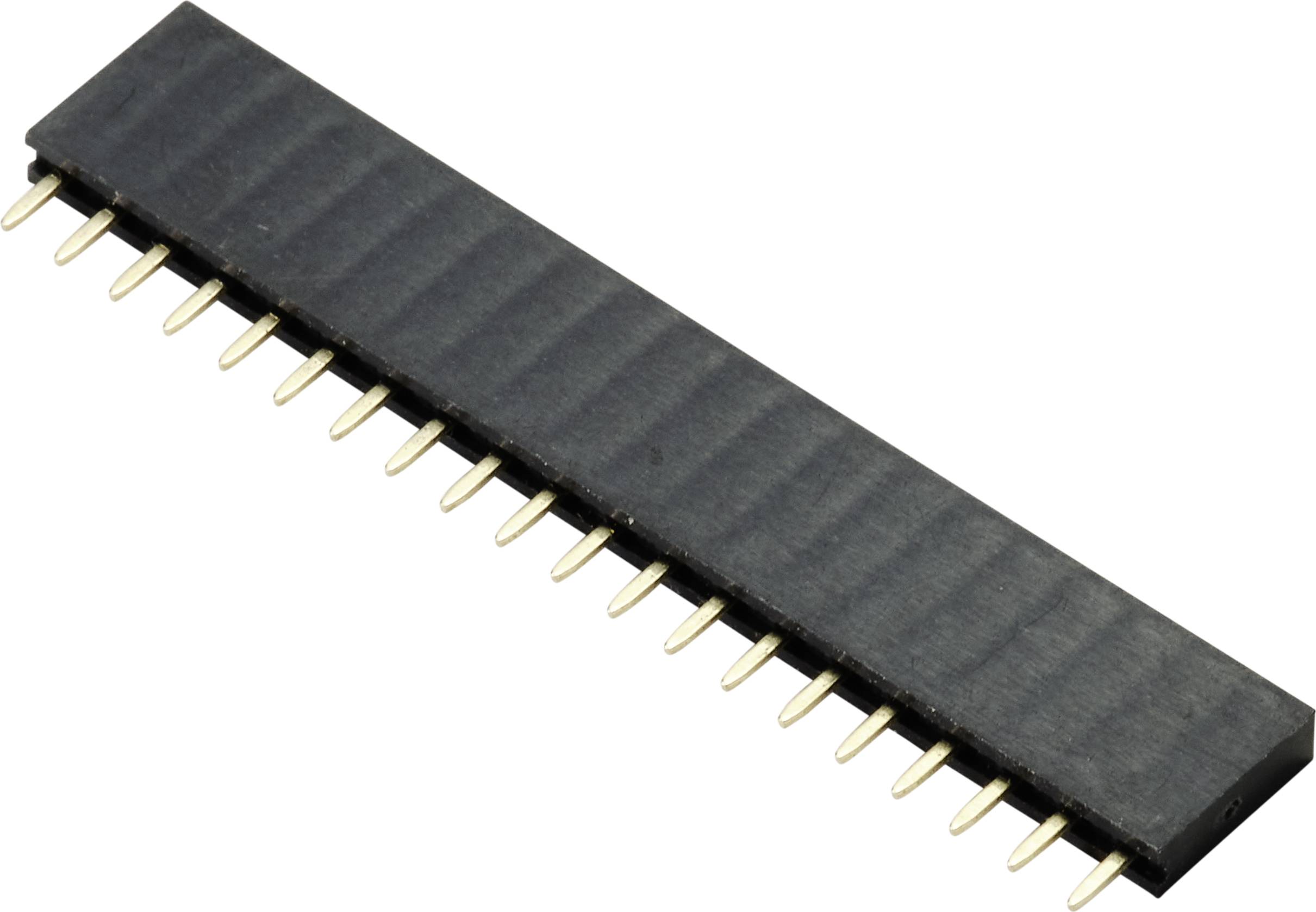 TRU COMPONENTS TC-9556696 SIL socket (standard) No. of rows: 1 Pins per row: 20