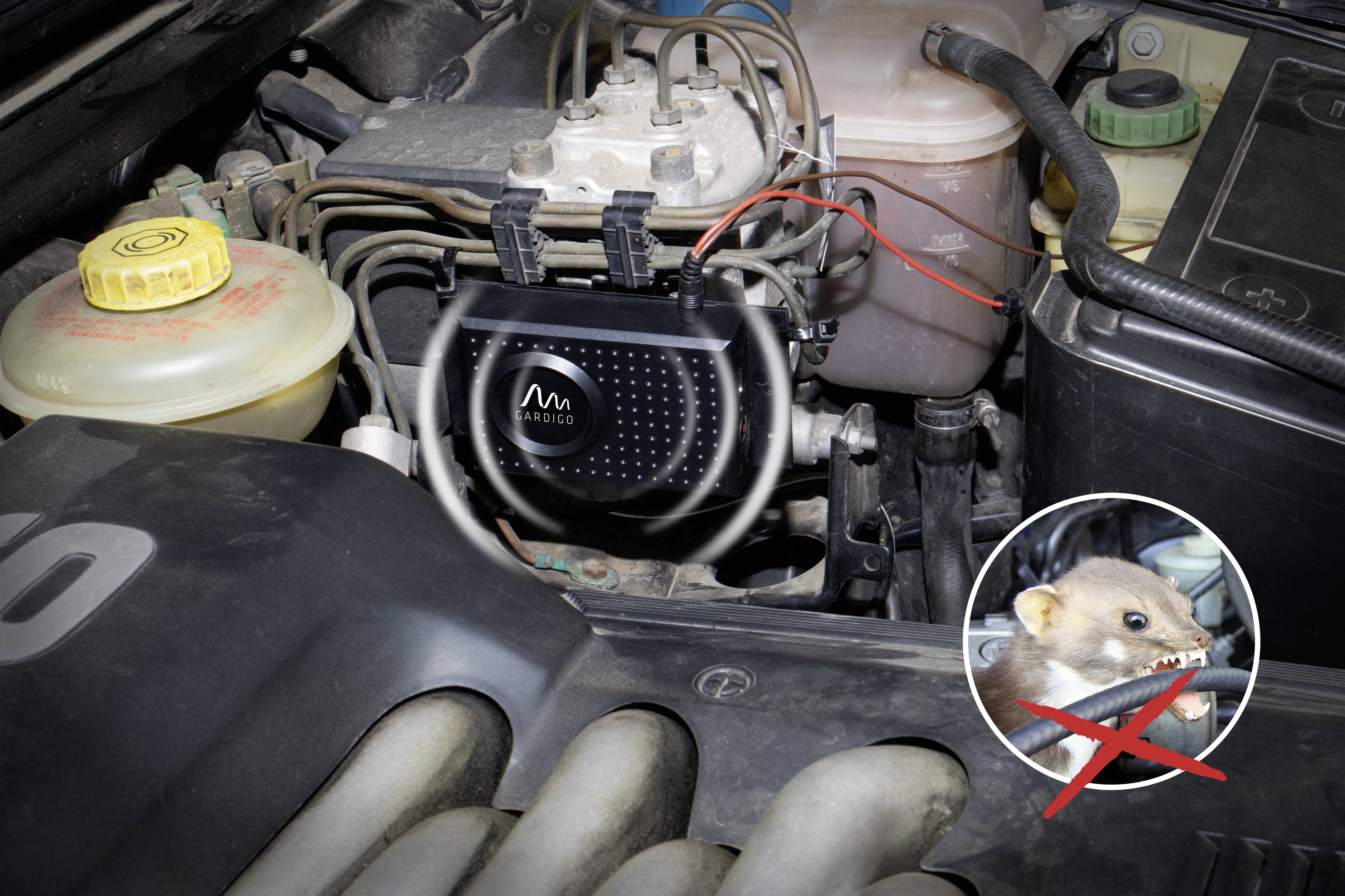 Motor protection device in the car protects cables from pine marten bites. Switch boxes and coolant containers are visible.