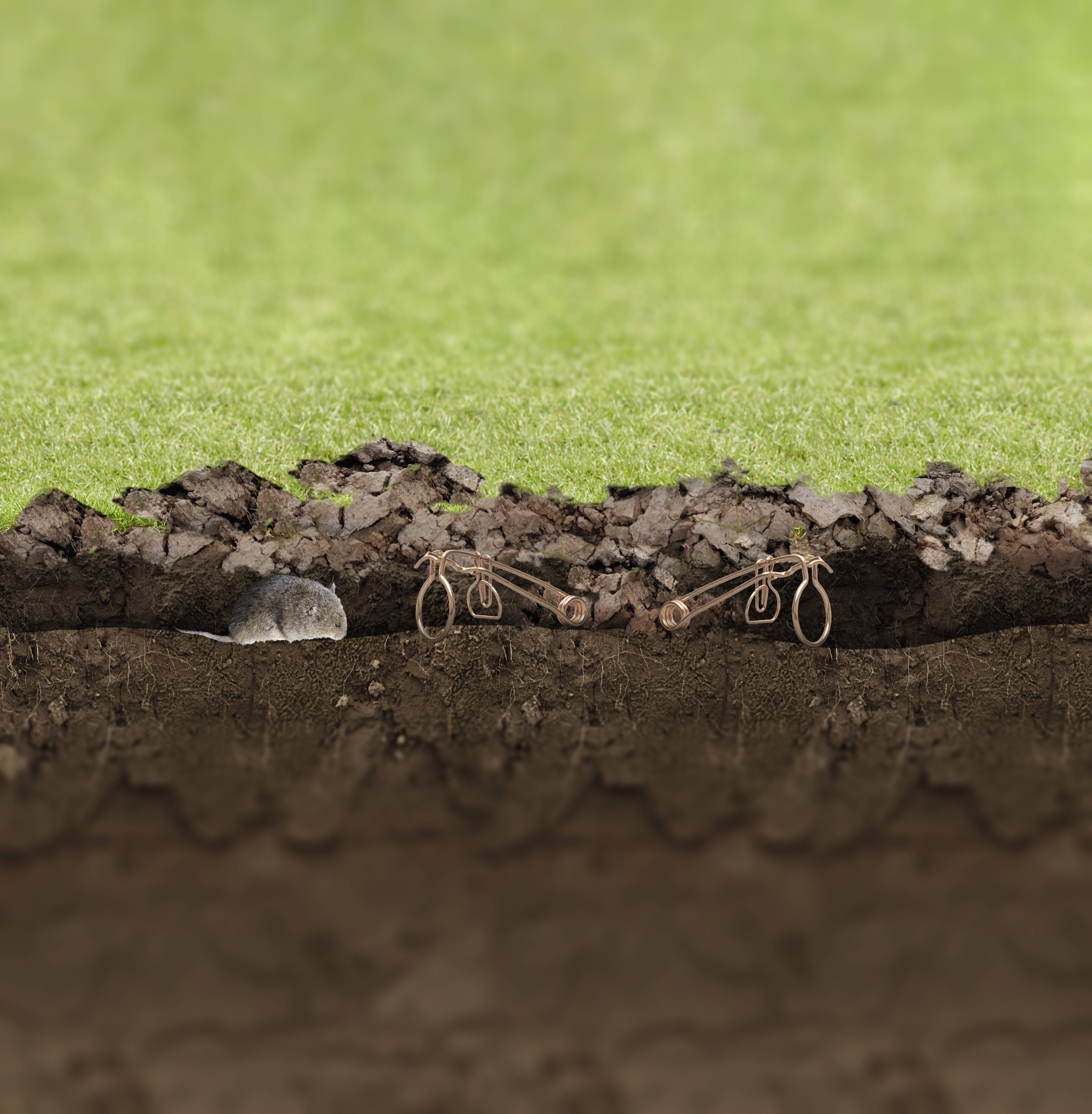 Gardigo Bayrische Arvicolinae trap 4 pc(s)