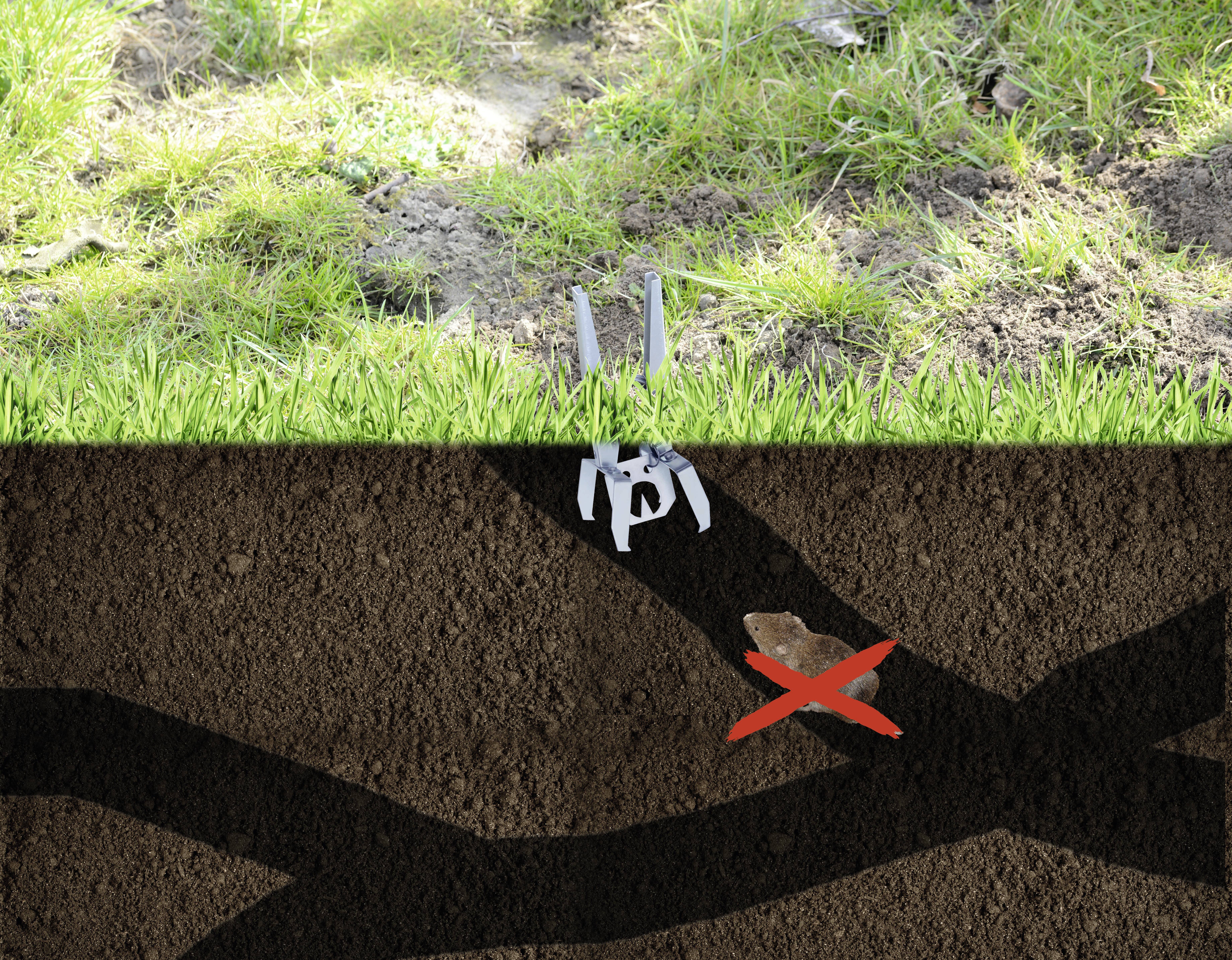 A mole trap is positioned in the ground to capture a mole in its tunnel. A red 'X' marks the mole.