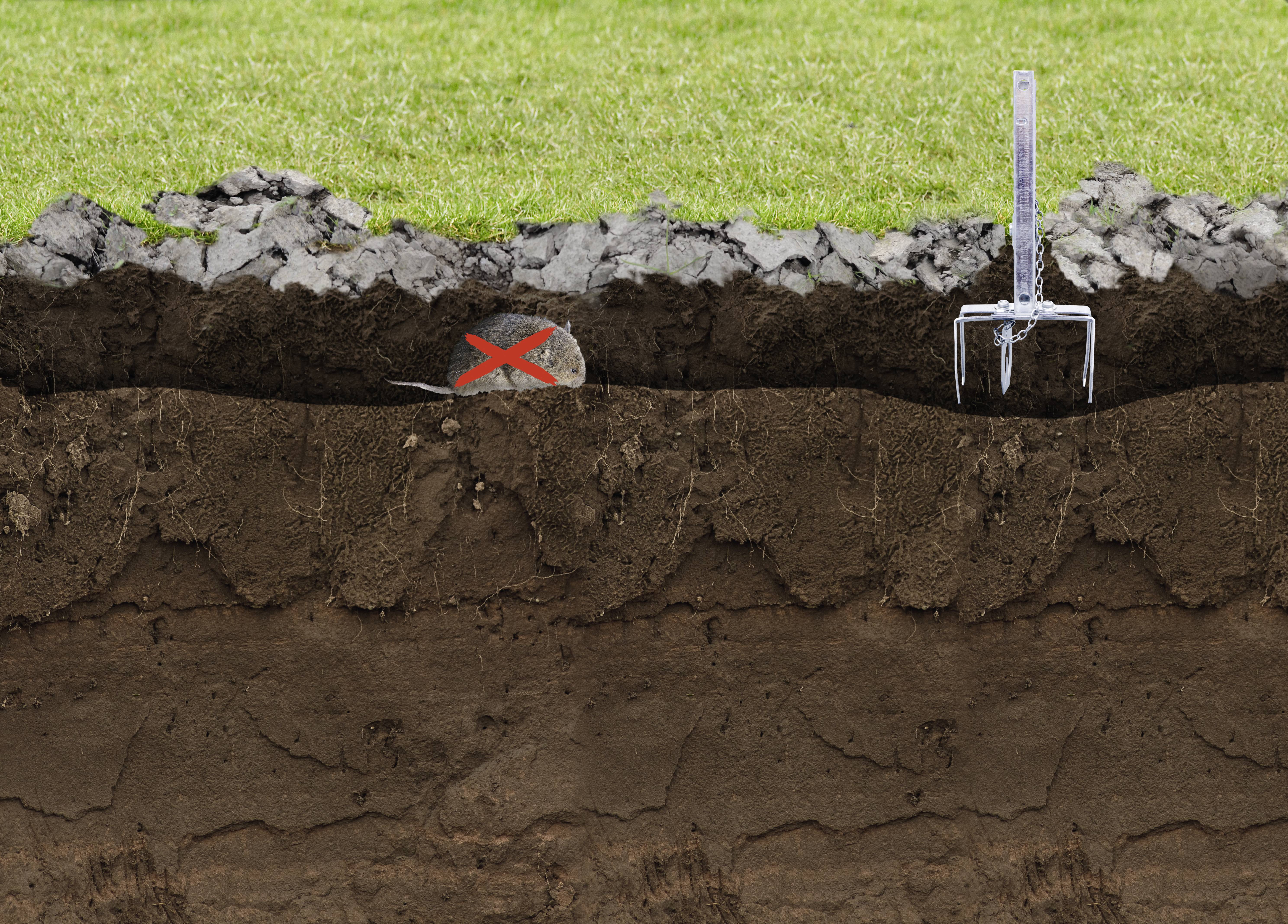 Cross-section of the ground with a mole trap on the right and a red X over a mole hill on the left; grass surface at the top.