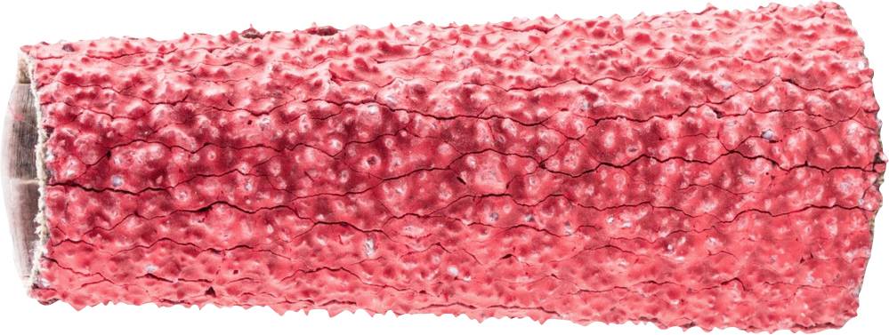 PFERD TOOLS GSB 201463 CO-COOL 36 42217182 Sanding sleeve Grit size 36 (Ø x H) 20 mm x 63 mm 100 pc(s)