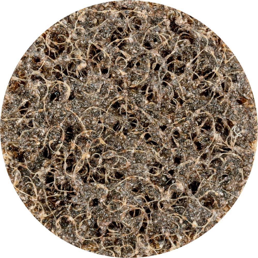 PFERD 42781381 HORSE grinding disc Diameter 38 mm