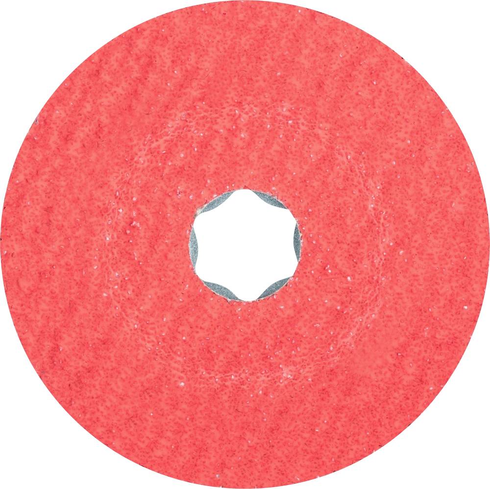 PFERD 64189101 Sanding Discs Diameter 100 mm