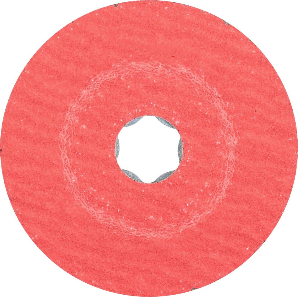 PFERD 64189102 Sanding Discs Diameter 100 mm