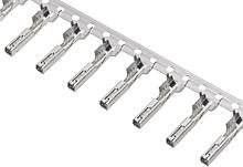 A series of metal clips, evenly attached to a strip and arranged at regular intervals.