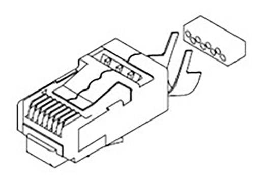 Diagram of an RJ45 connector showing its construction with contacts and cable connections. On the left, the plug; on the right, a cable.