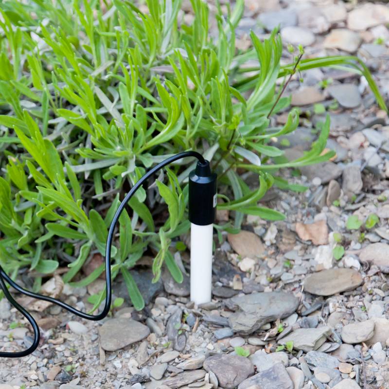 A soil moisture sensor is inserted into dry, stony ground next to a green plant to collect moisture data.