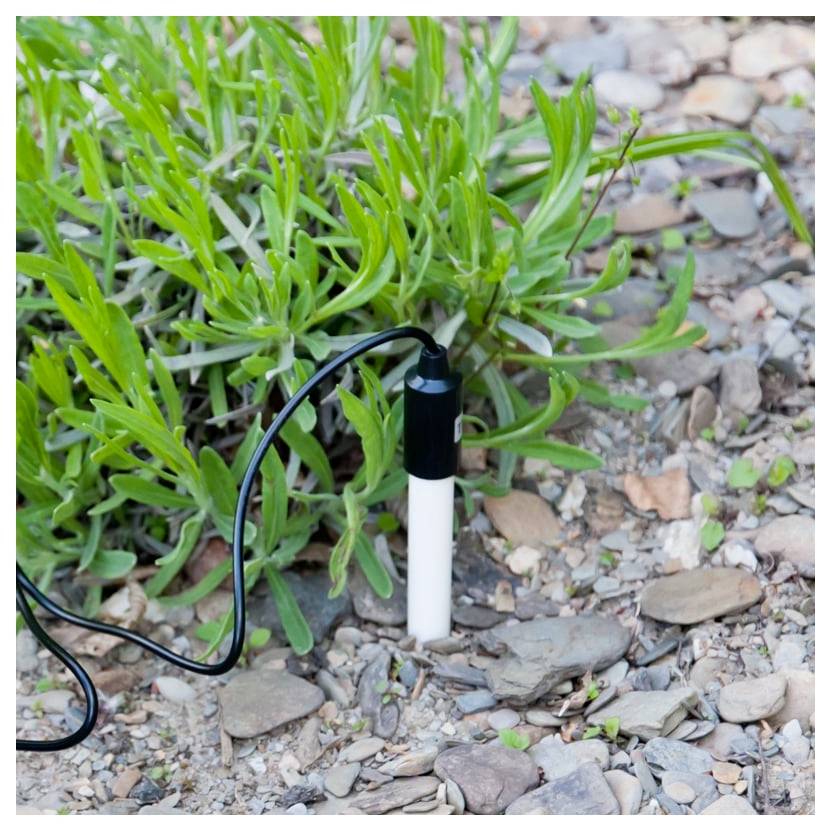 Small black-and-white landscape stake light in gravel beside green plants, with a black cable attached.