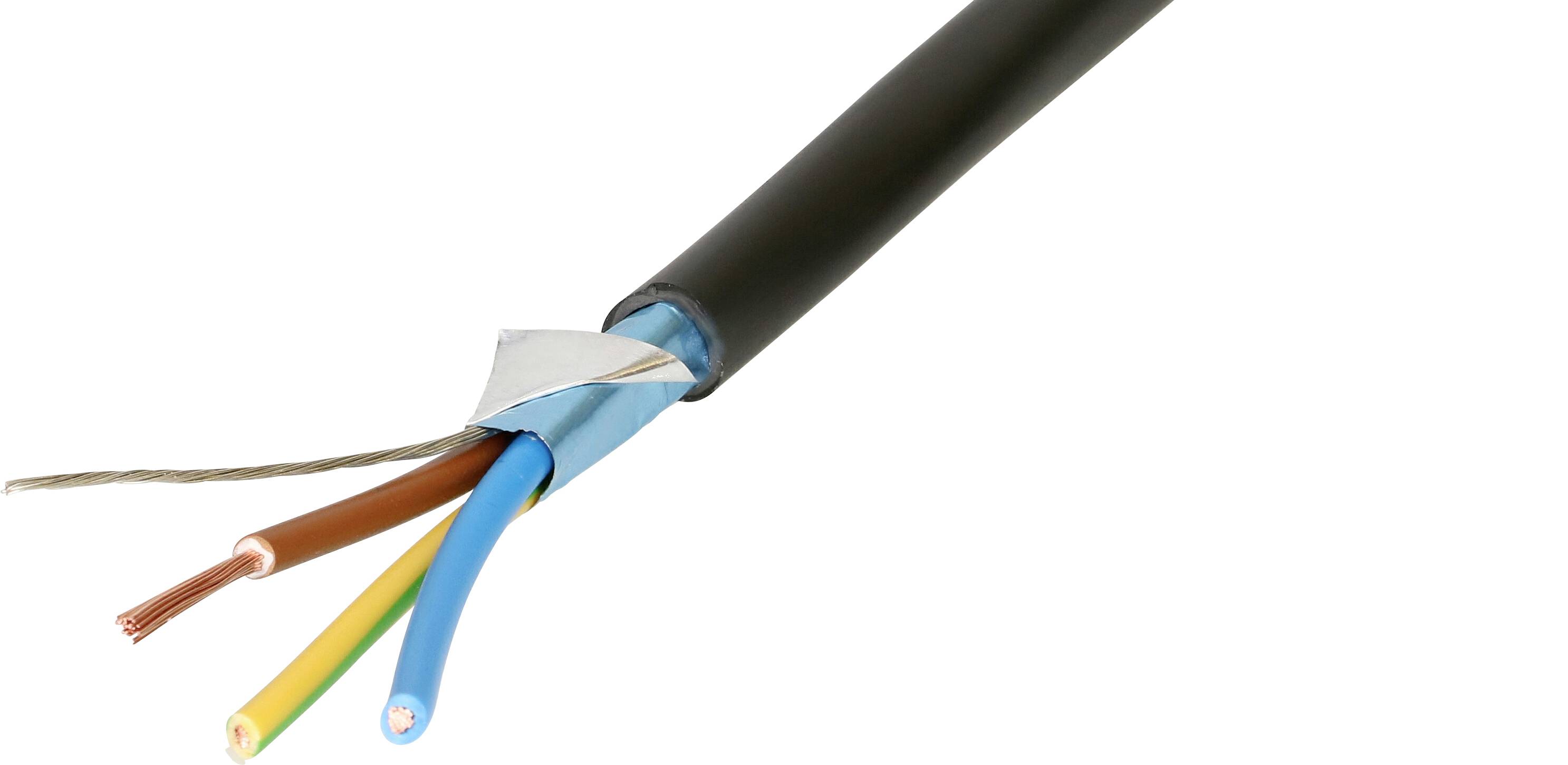 Max Hauri AG 139651 Current Mains cable Black 10.00 m