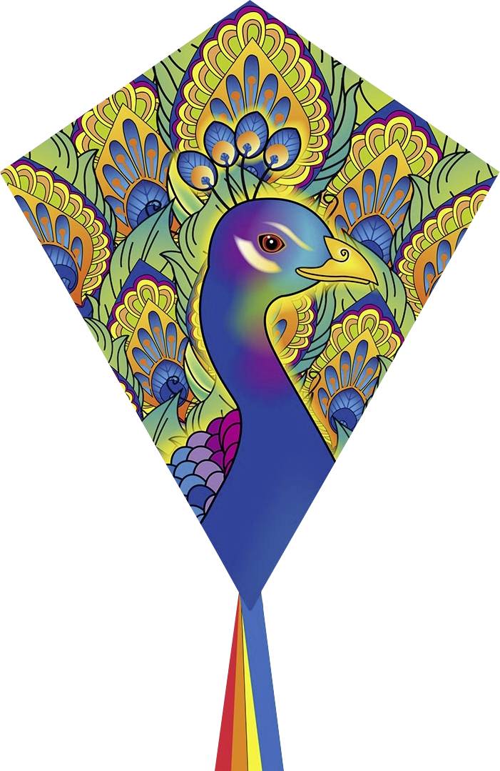 Ecoline Kite Eddy Peacock Wingspan (details) 580 mm Wind speed range 2 - 5 bft