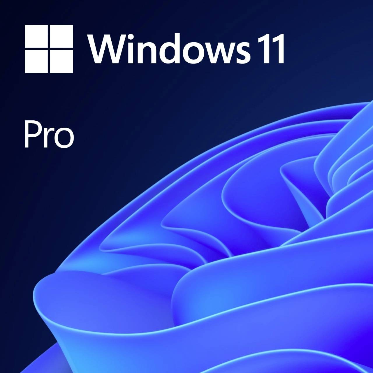 Windows 11 Pro logo on a blue, abstract background.