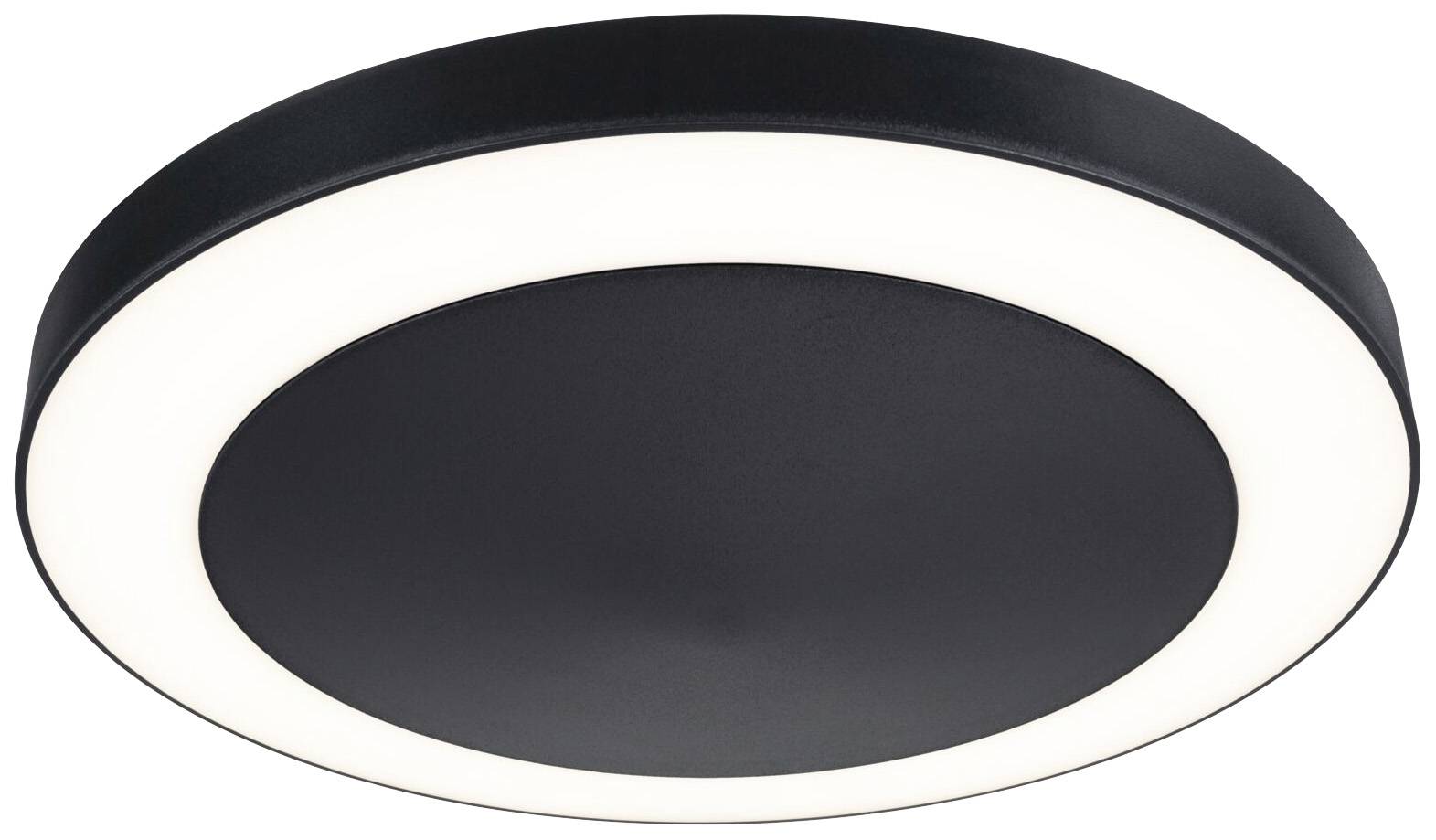 Paulmann Circula 94526 LED outdoor wall light (+ motion detector) 14 W Anthracite