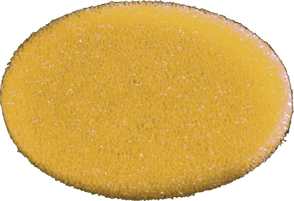 An oval, orange-coloured structure with a fine, granular texture reminiscent of the surface of a fruit or a sponge.