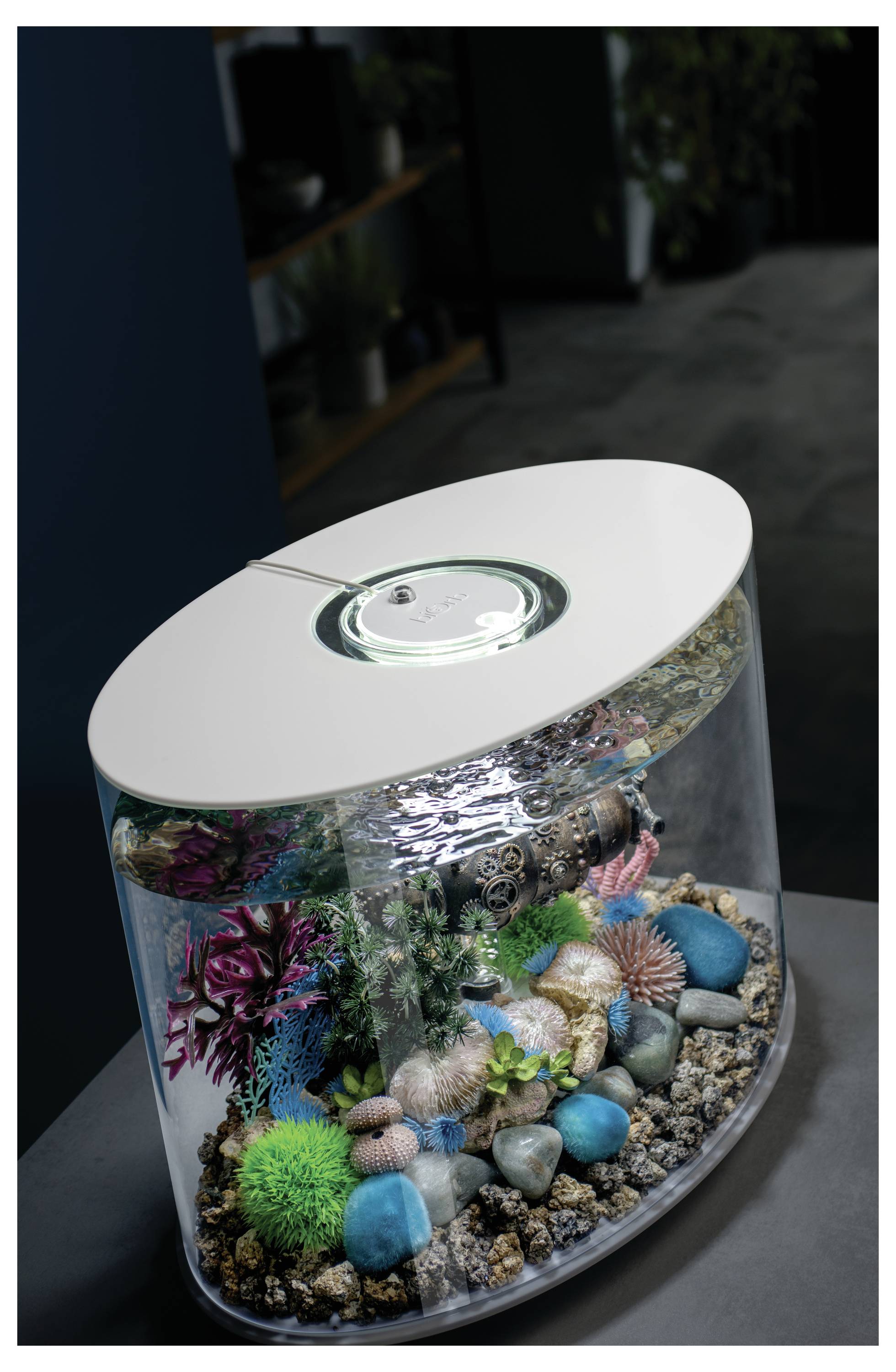 A curved aquarium with decorative rocks, colorful corals, and an LED light feature, placed on a tabletop in a modern room setting.