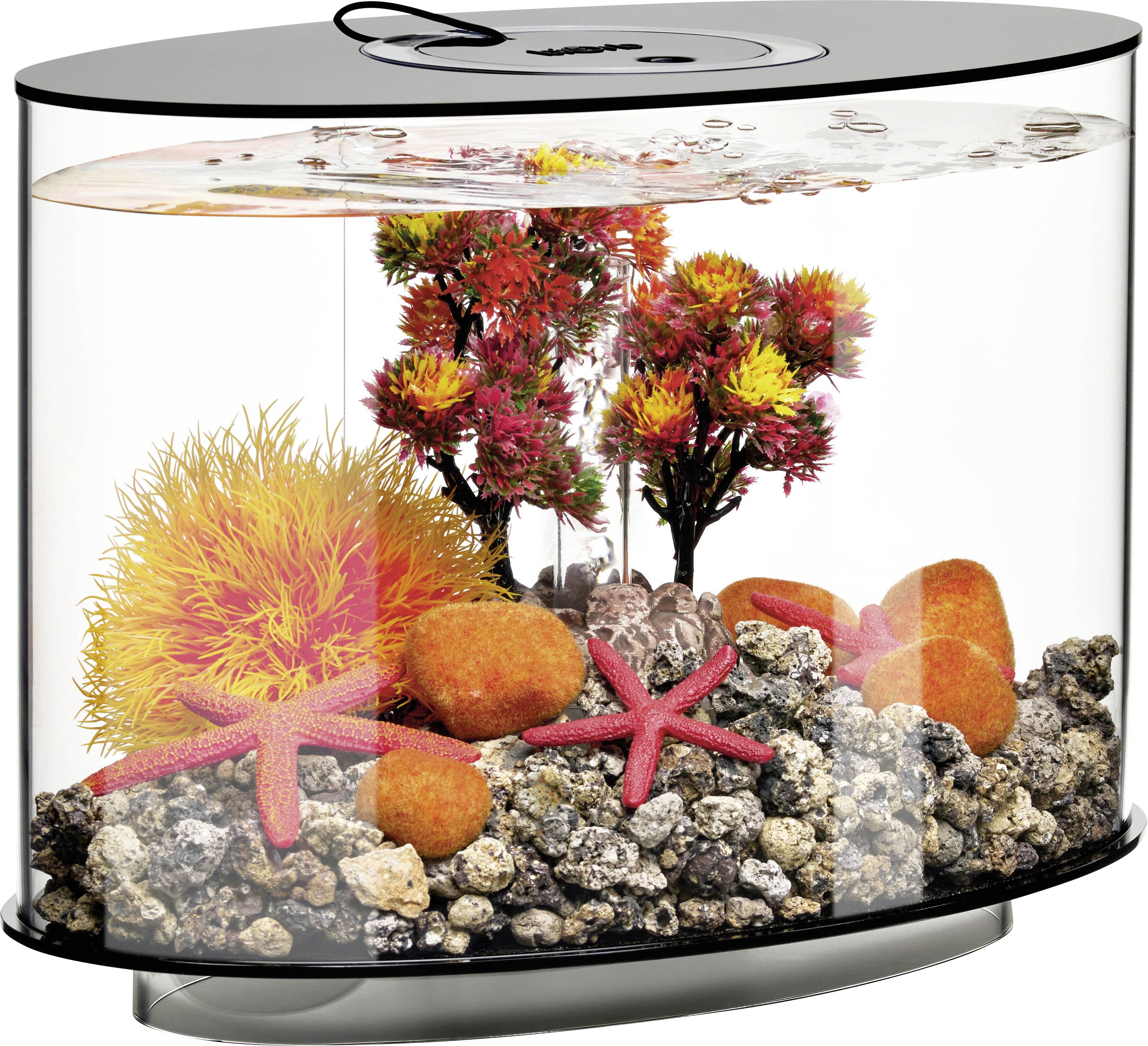 A black oval container filled with water, colorful artificial coral, and starfish replicates a vibrant underwater scene.