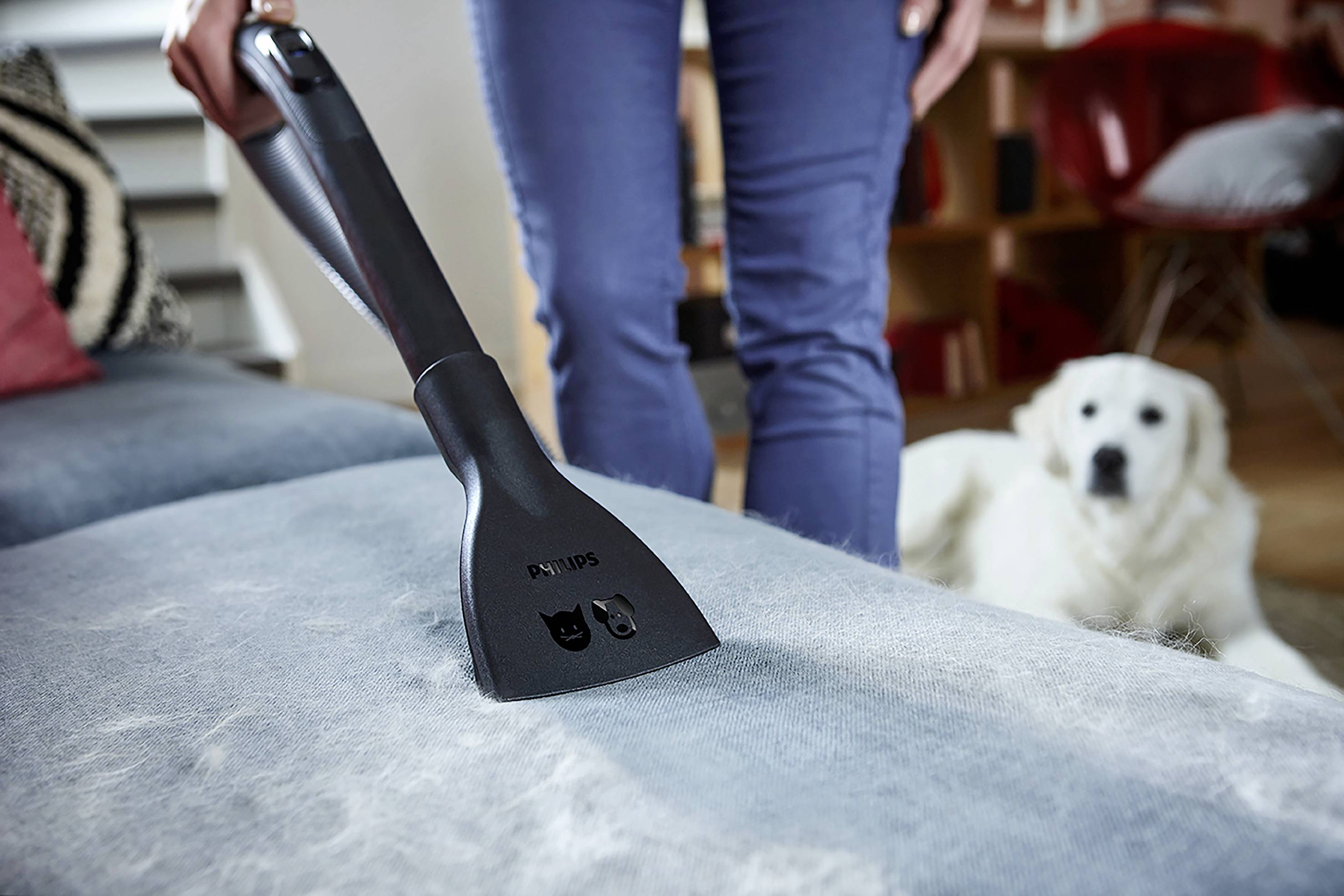 A handheld vacuum cleaner is being used to remove pet hair from a sofa. In the background, a large white dog is sitting.