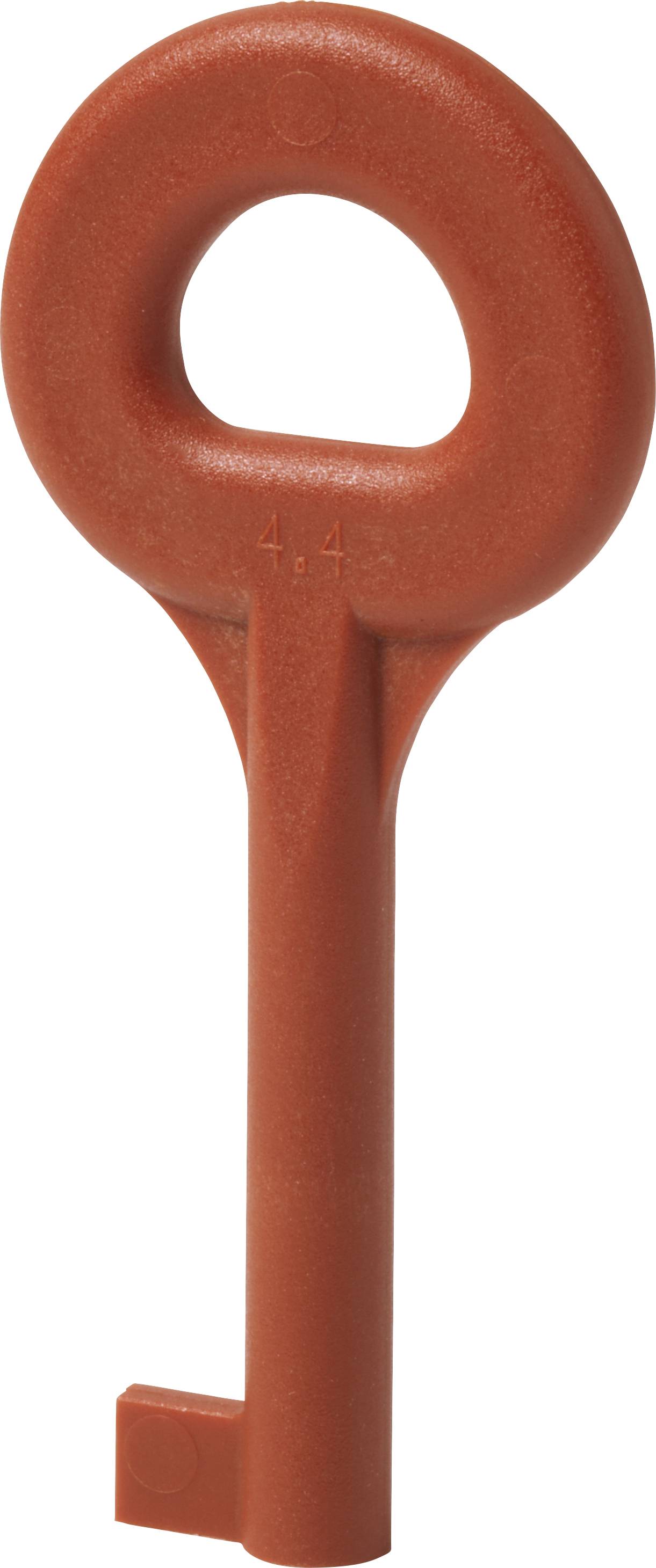 Red, oval plastic key with a long handle; non-functional, possibly decorative or part of a learning toy.