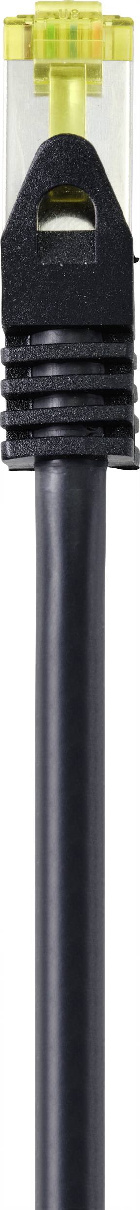 A black Ethernet cable with a transparent connector, seen in close-up.