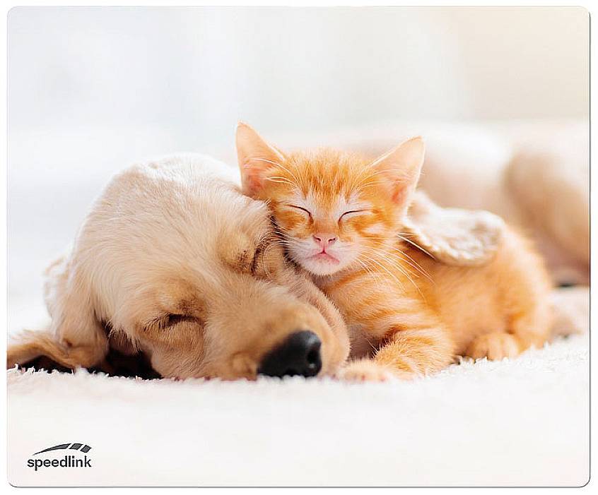 SpeedLink SILK Mouse pad Multicolour