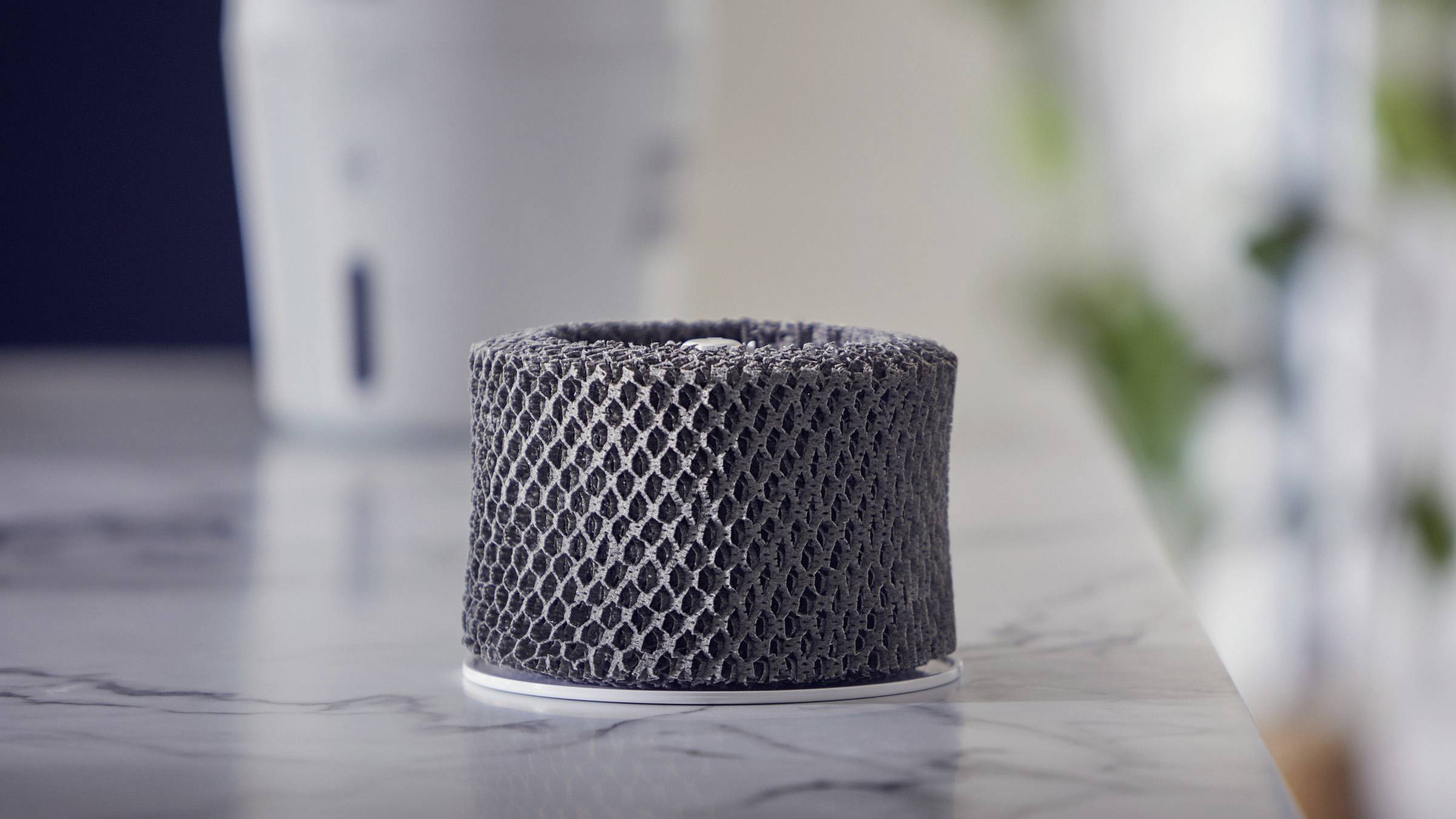 Philips Replacement filter