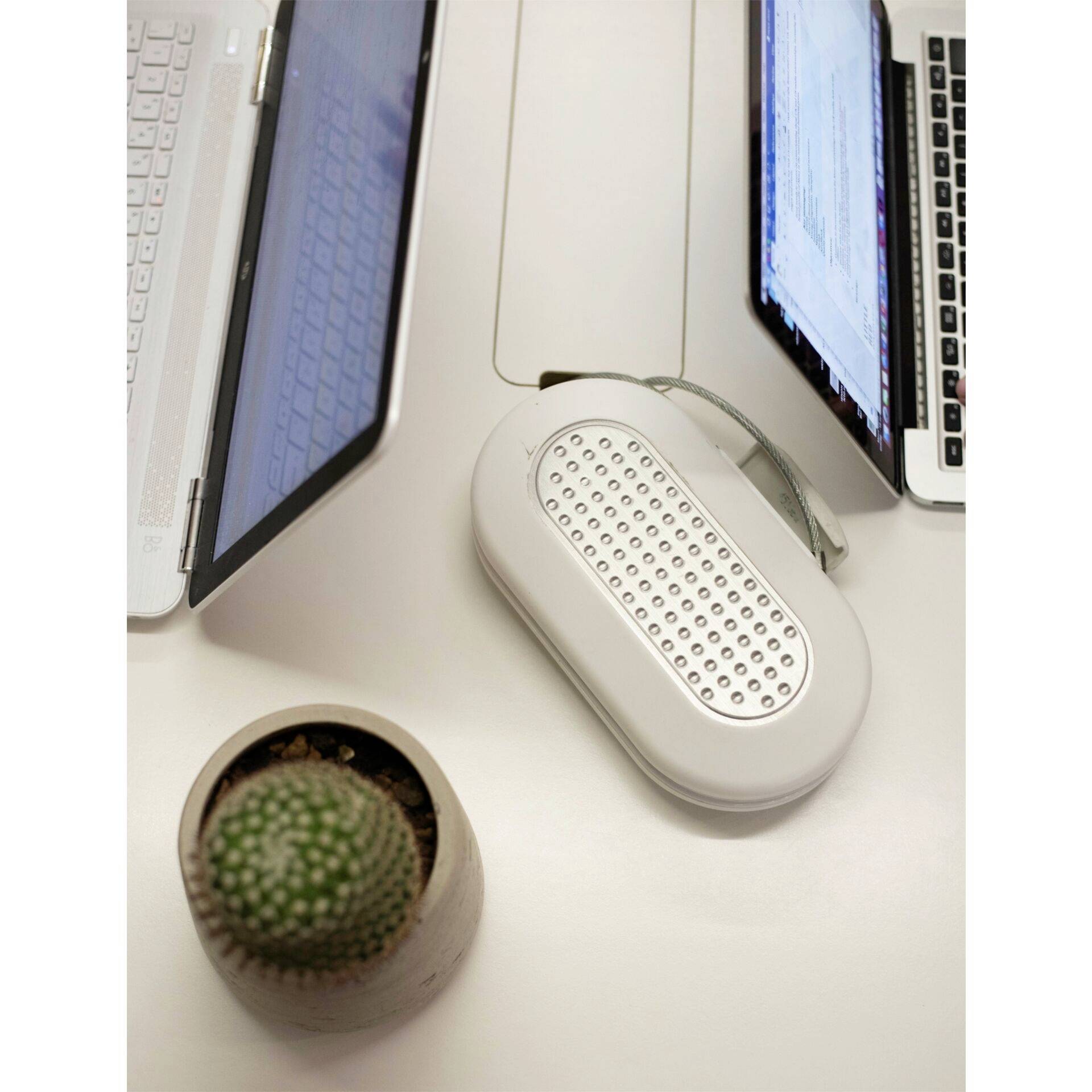 Two open laptops on a table next to a small cactus and a white speaker in the centre.