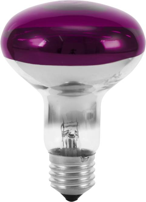 A light bulb with a mirrored, purple glass top and a standard screw thread at the bottom. Ideal for decorative lighting.