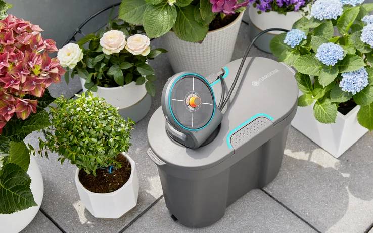 An automatic irrigation system with hoses and plants on a terrace. Hydrangeas and other plant pots are visible.