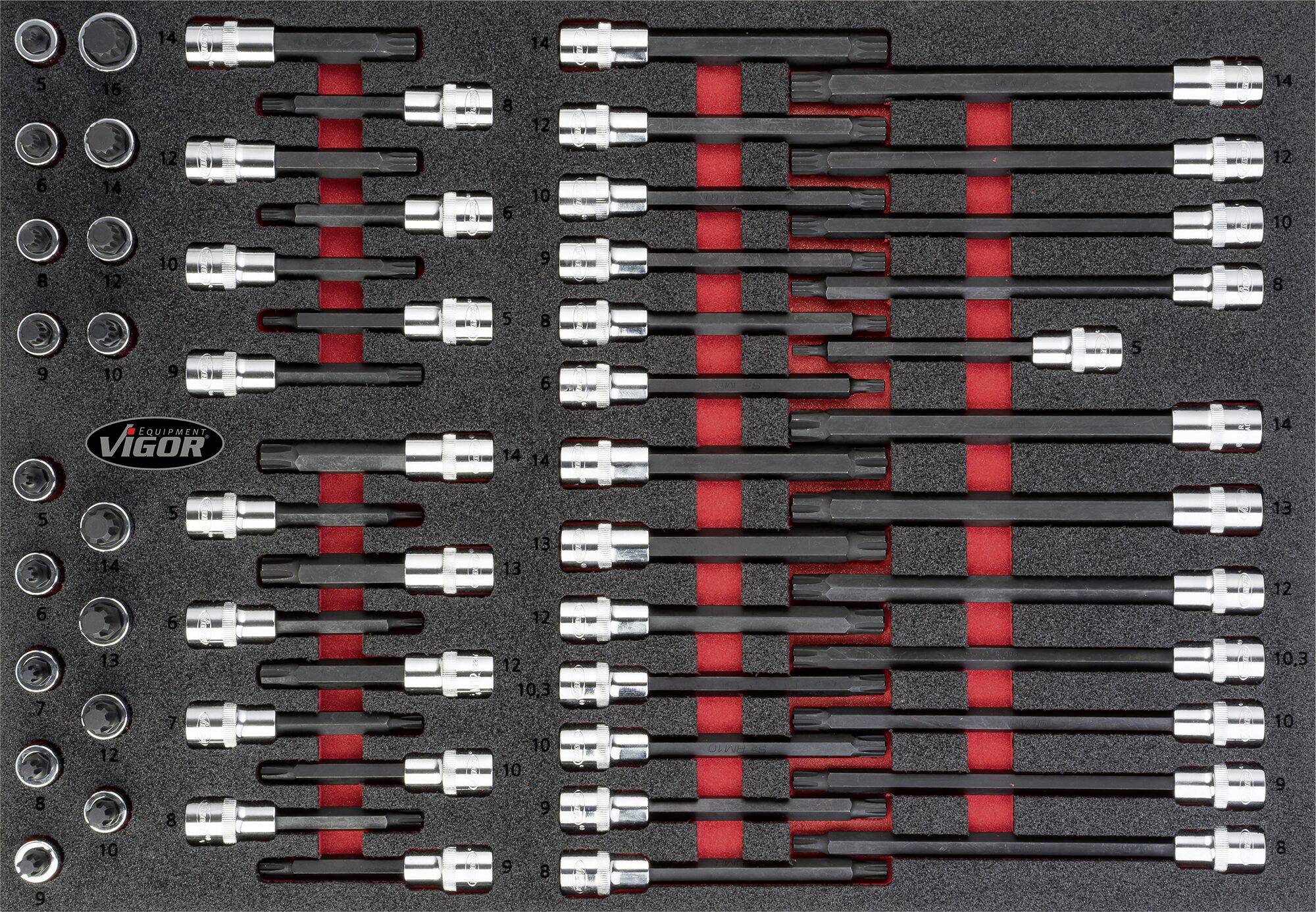 Set of hexagonal screwdriver bits in foam insert with red markings and marked sizes. Brand: Vigor.