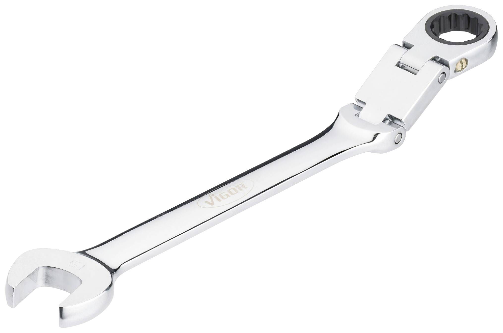 A adjustable ring ratchet spanner made of metal, shiny, with a ring head and an open-ended jaw. Brand name on the handle.