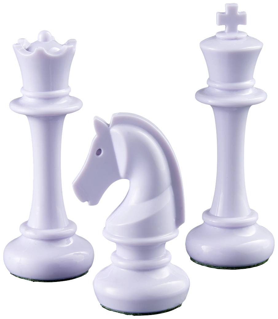 Millennium The King Competition Chess computer