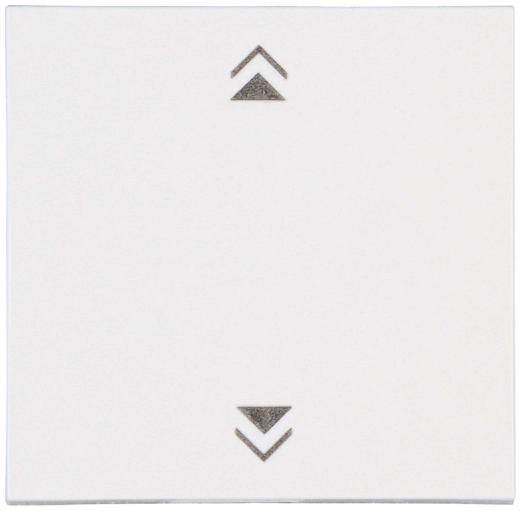 Blue-Control Wall-mount switch RAL 9010 (semi-gloss)