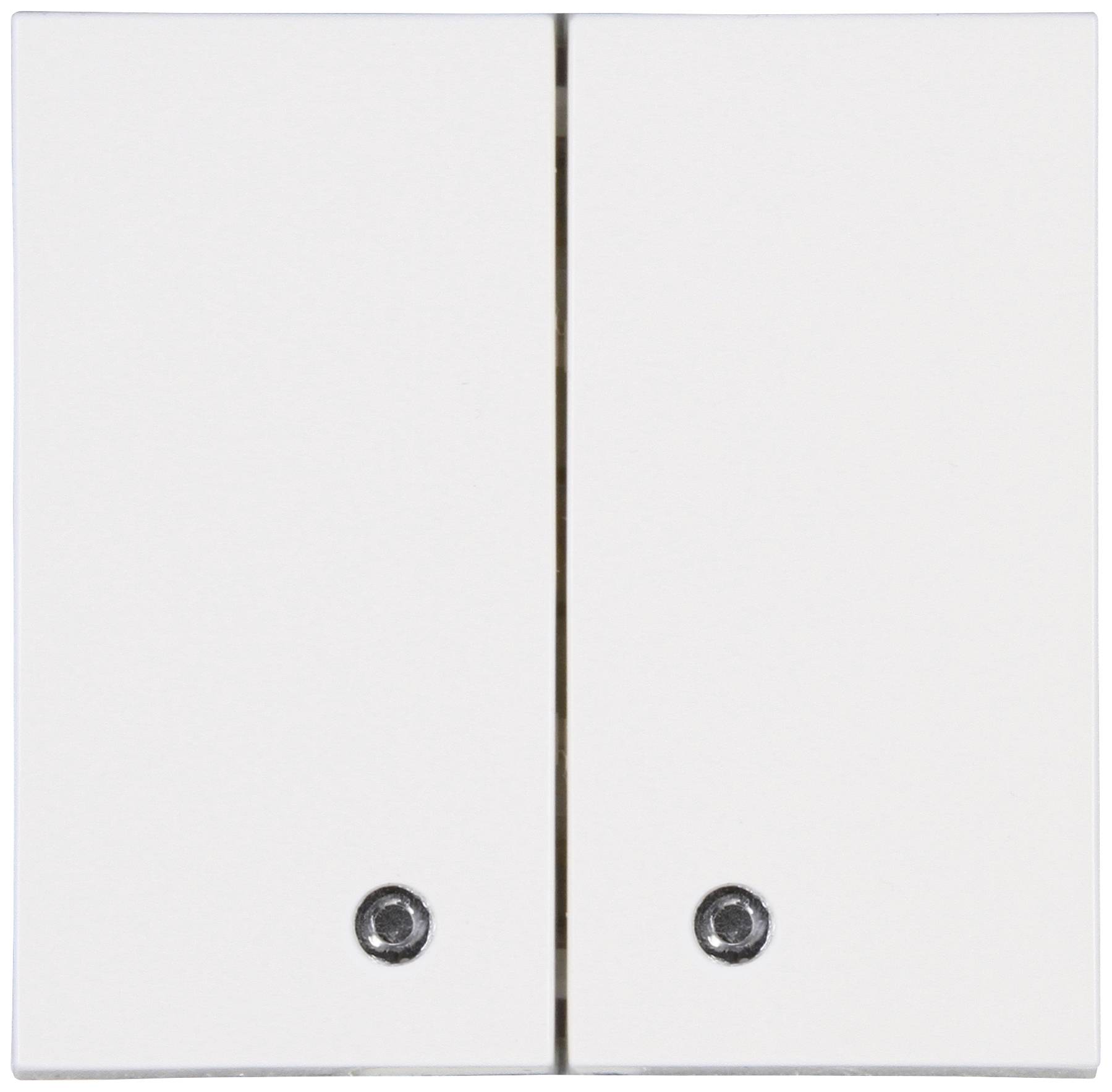 Blue-Control 2 gang rocker RAL 9010 (semi-gloss)