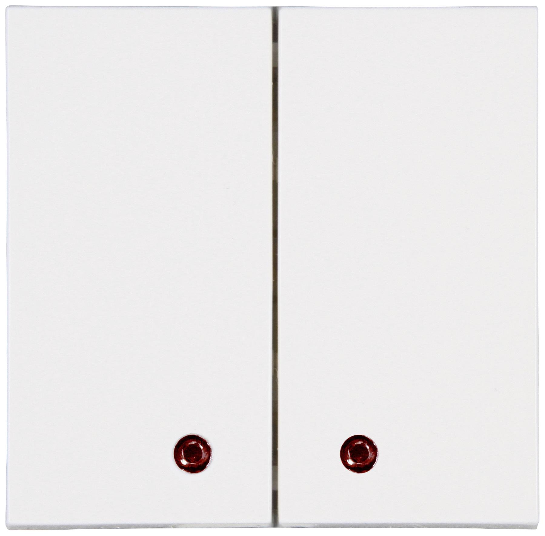 Blue-Control 2 gang rocker RAL 9010 (semi-gloss)