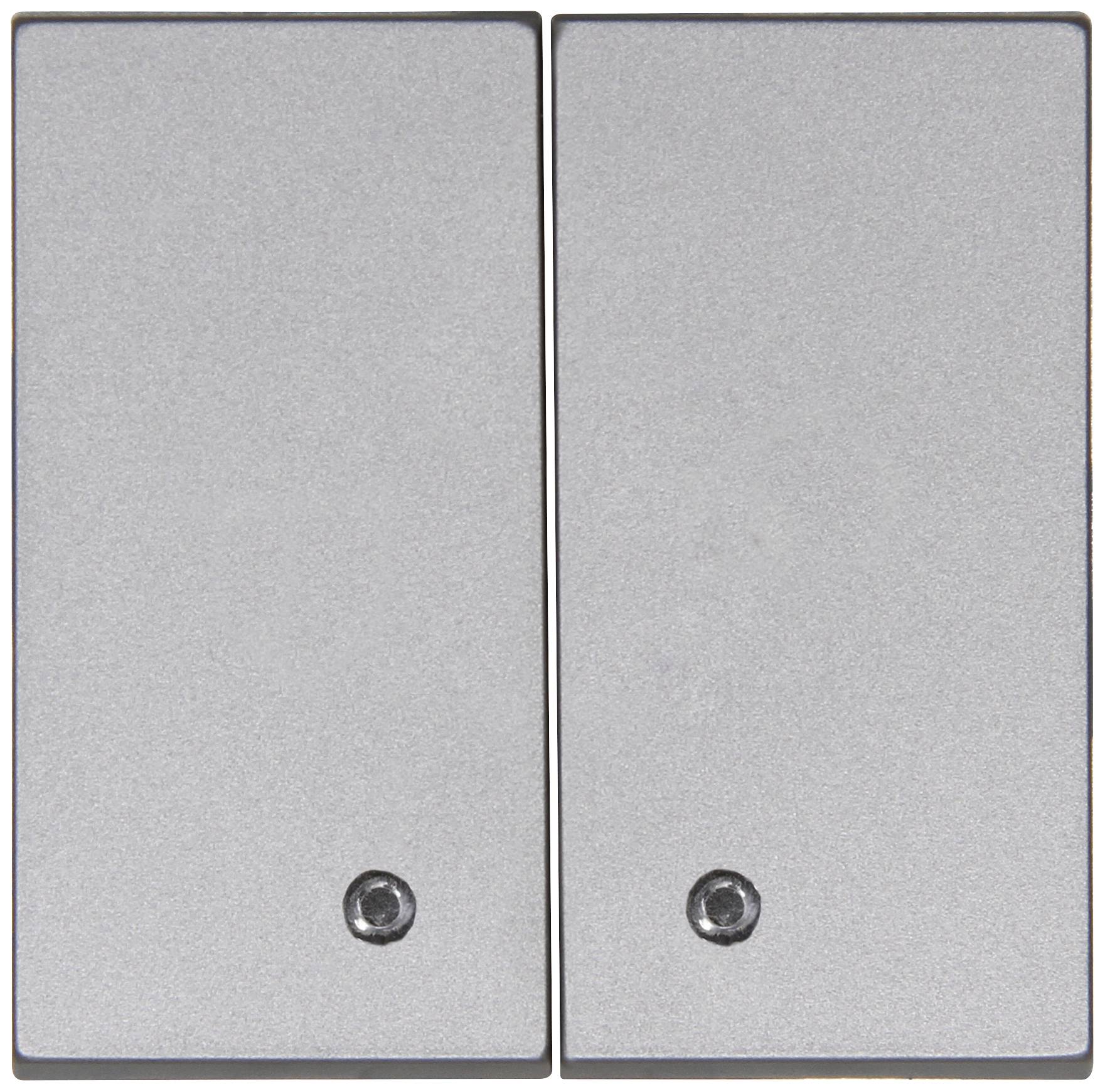 Blue-Control 2 gang rocker Steel