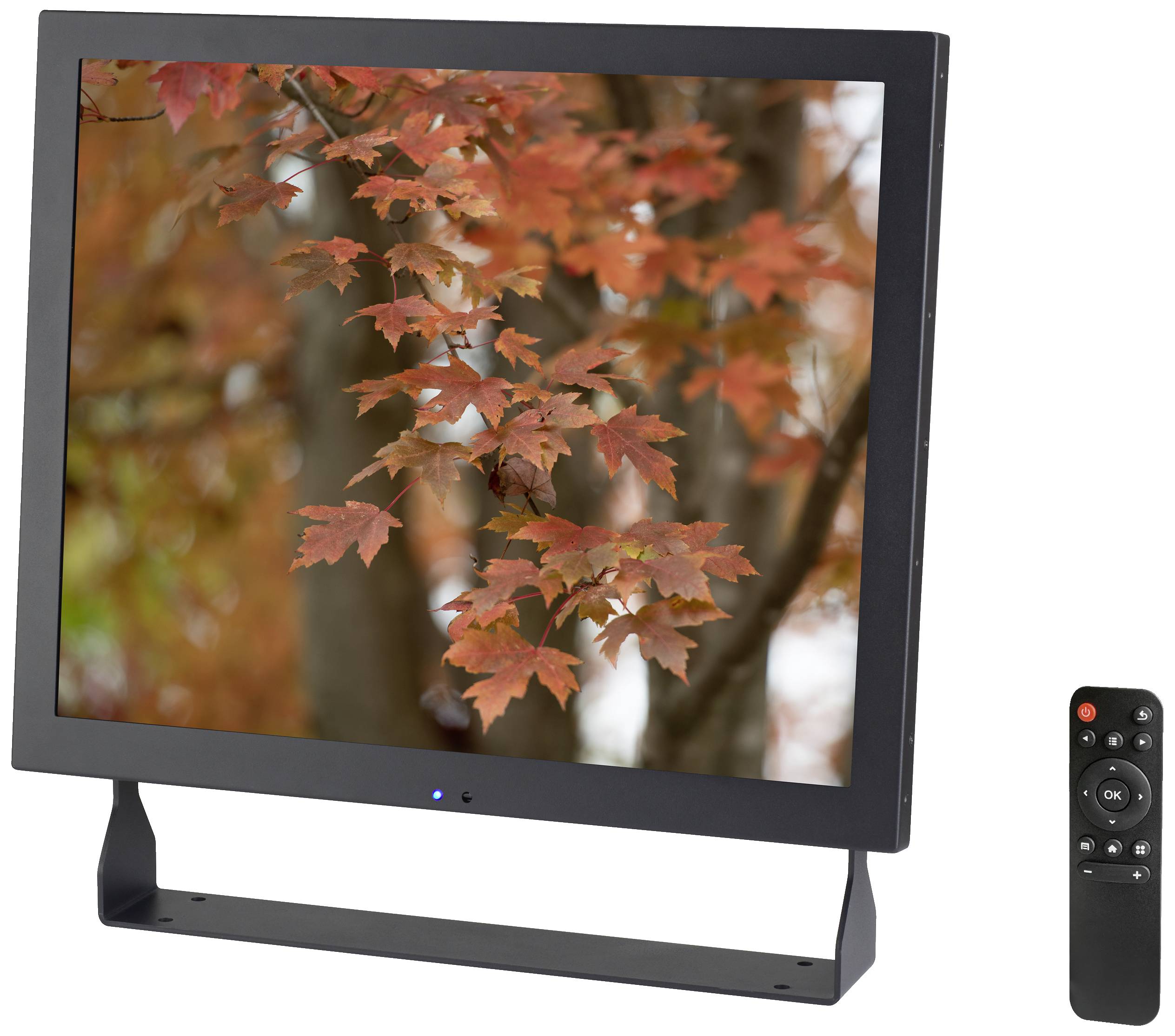 A flat screen displays autumnal maple leaves in vibrant red and orange hues. A black remote control lies beside it.