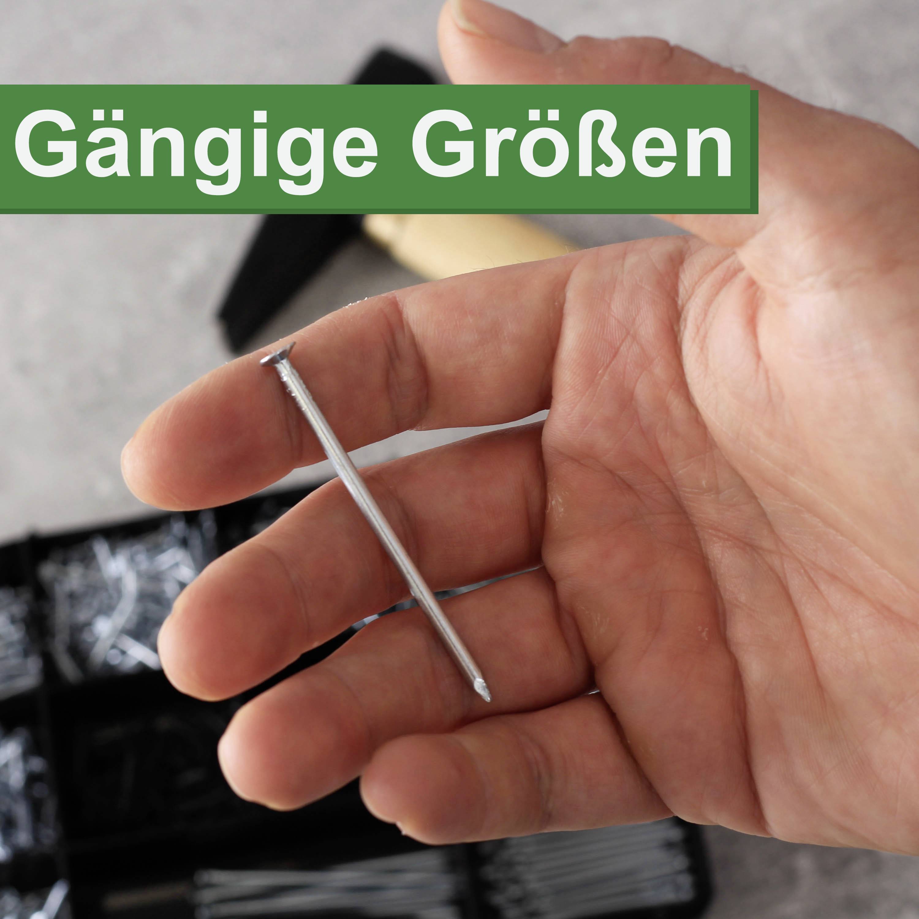 A hand is holding a nail. In the background, an opened box with additional nails is visible. Text in the image: 'Common Sizes'