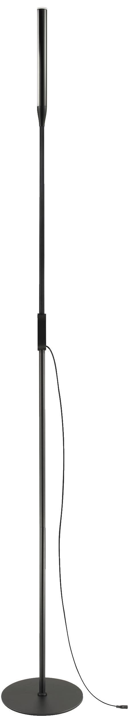 A sleek, black standard lamp with a round base and a long, straight lamp stem, connected by a black cable.