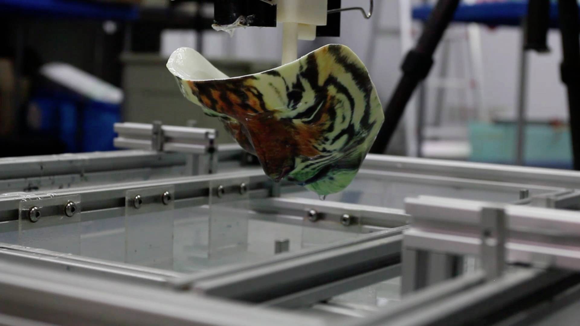 A machine dips a film with a tiger design into water to print an object. Enables precision printing.
